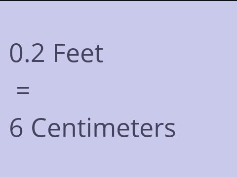 0.2 FEET TO CM