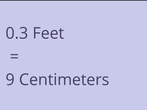 0.3 FEET TO CM