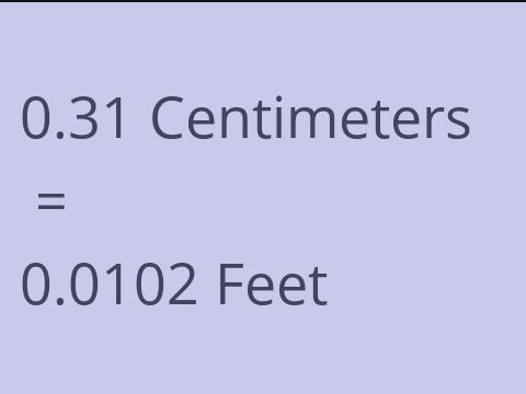 0.31 CM TO FEET