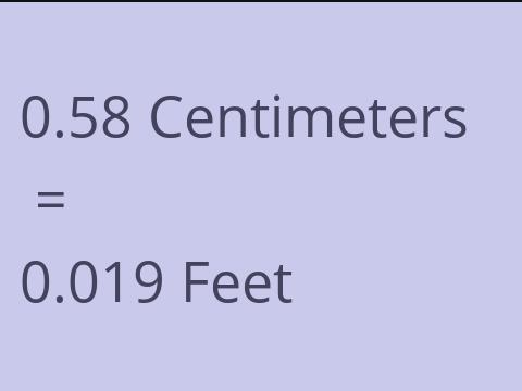 0.58 CM TO FEET