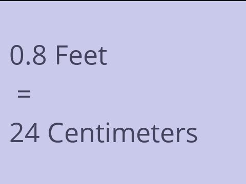 0.8 FEET TO CM