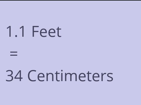 1.1 FEET TO CM