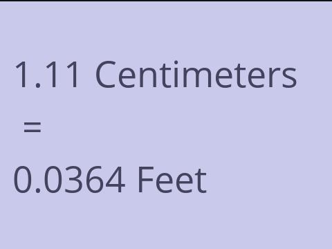 1.11 CM TO FEET