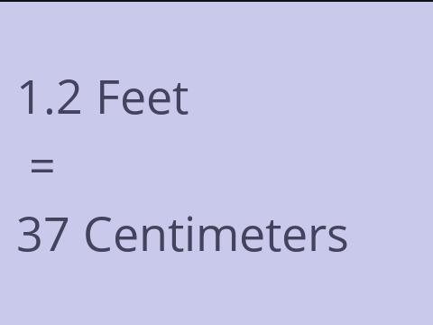 1.2 FEET TO CM