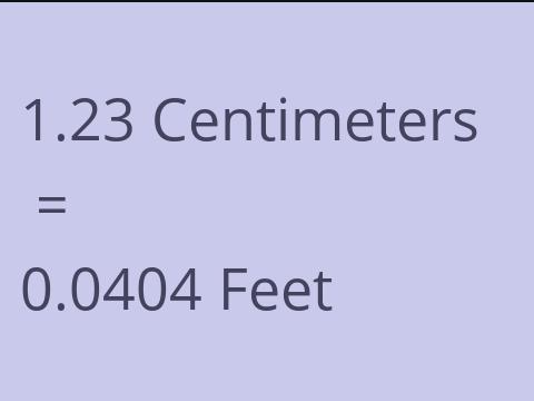 1.23 CM TO FEET