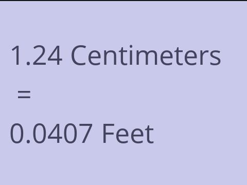 1.24 CM TO FEET