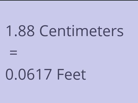 1.88 CM TO FEET