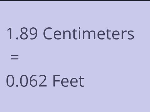 1.89 CM TO FEET