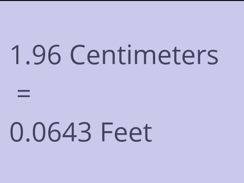 1.96 CM TO FEET