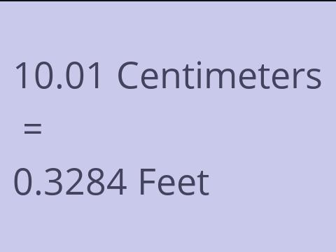 10.01 CM TO FEET