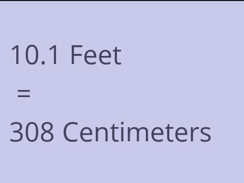 10.1 FEET TO CM