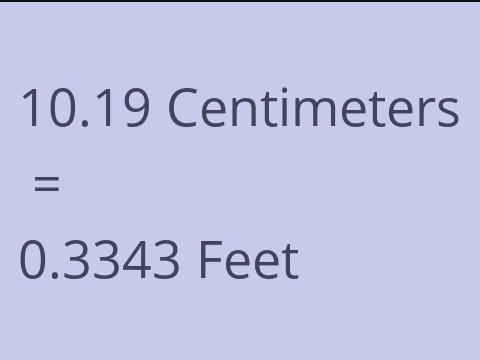 10.19 CM TO FEET