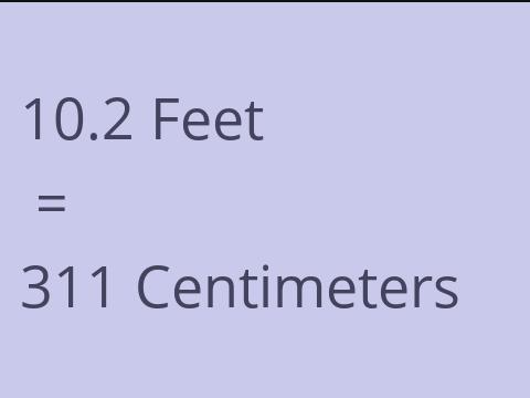 10.2 FEET TO CM