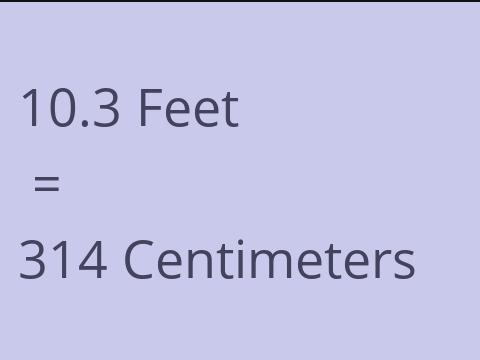 10.3 FEET TO CM