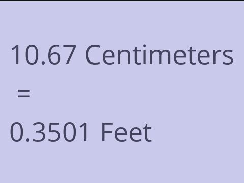 10.67 CM TO FEET