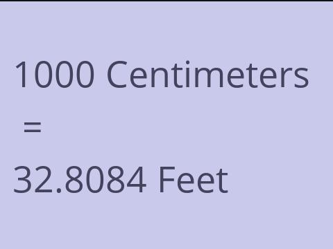 1000 CM TO FEET