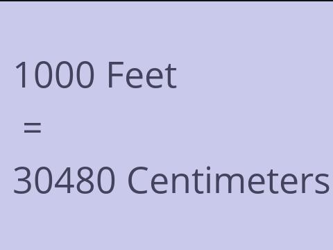 1000 FEET TO CM