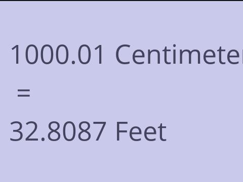 1000.01 CM TO FEET