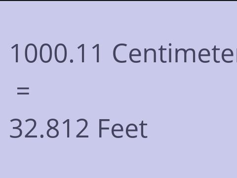 1000.11 CM TO FEET