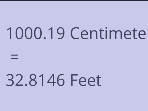 1000.19 CM TO FEET