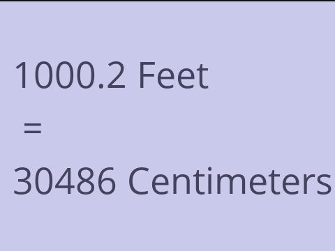 1000.2 FEET TO CM