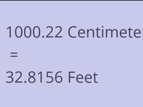 1000.22 CM TO FEET