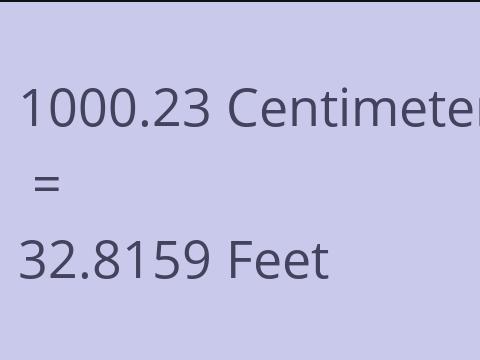 1000.23 CM TO FEET