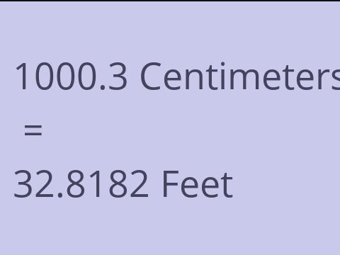 1000.3 CM TO FEET