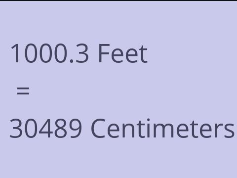 1000.3 FEET TO CM