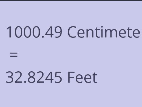 1000.49 CM TO FEET