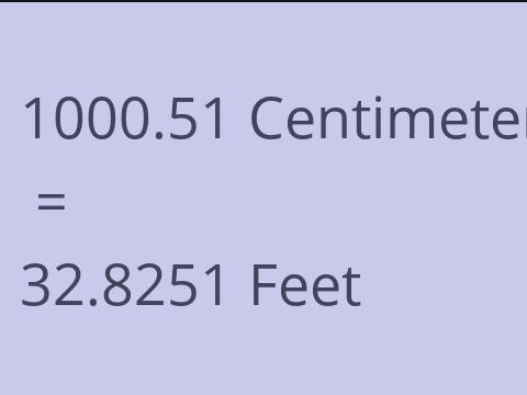 1000.51 CM TO FEET