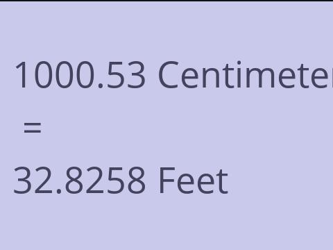 1000.53 CM TO FEET