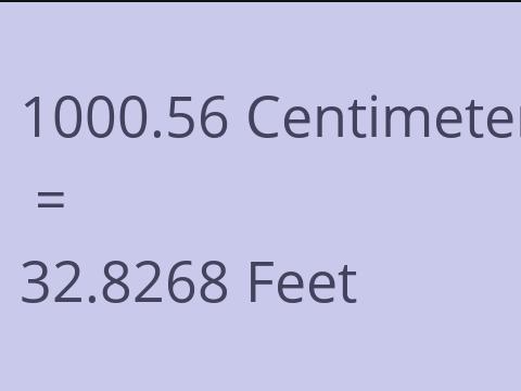 1000.56 CM TO FEET