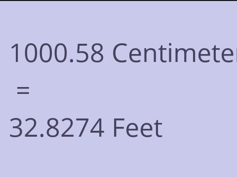 1000.58 CM TO FEET