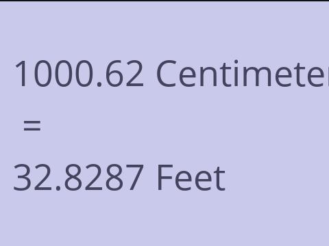 1000.62 CM TO FEET