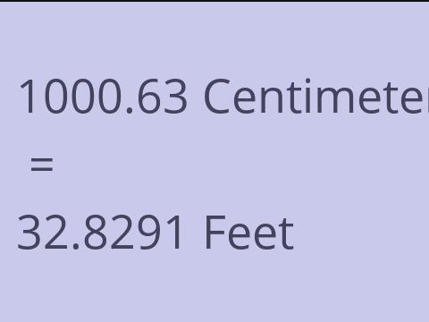 1000.63 CM TO FEET