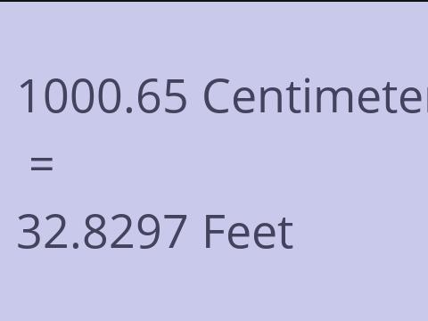 1000.65 CM TO FEET