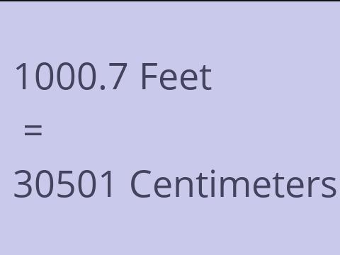 1000.7 FEET TO CM