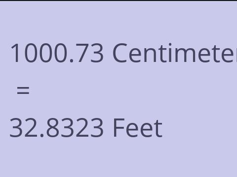 1000.73 CM TO FEET