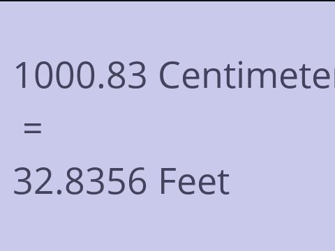 1000.83 CM TO FEET