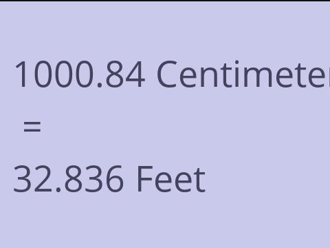 1000.84 CM TO FEET