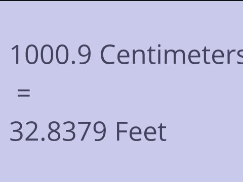 1000.9 CM TO FEET