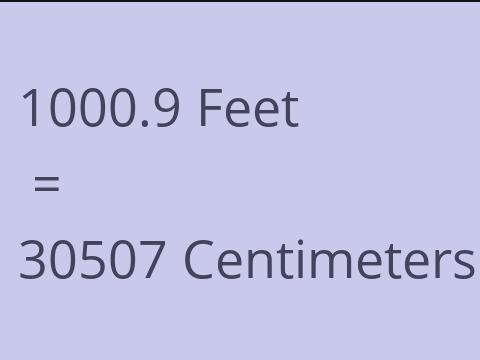 1000.9 FEET TO CM