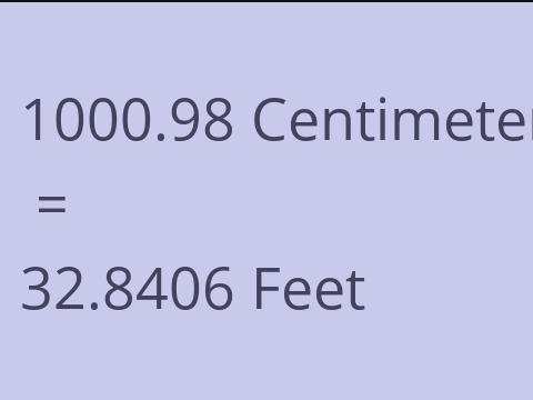 1000.98 CM TO FEET