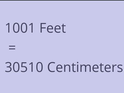 1001 FEET TO CM