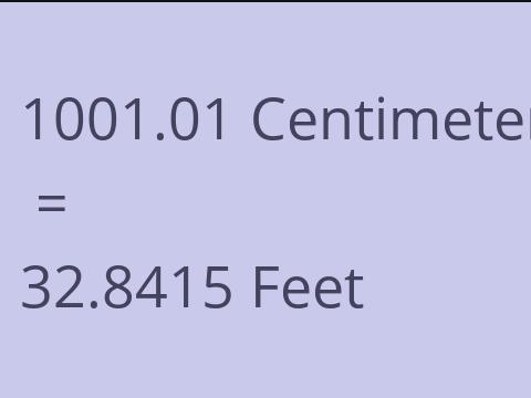 1001.01 CM TO FEET