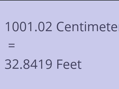 1001.02 CM TO FEET