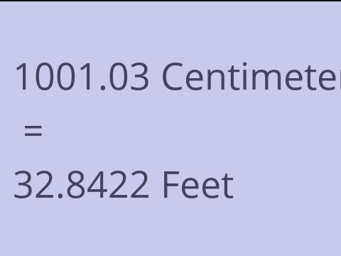 1001.03 CM TO FEET