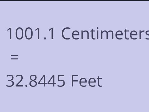 1001.1 CM TO FEET