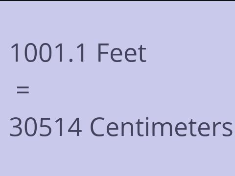 1001.1 FEET TO CM